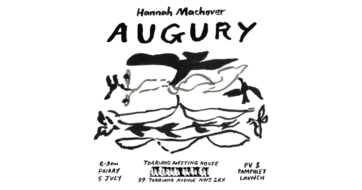 Torriano Augury